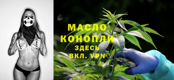 скорость Каменка