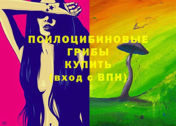 МДПВ Карпинск