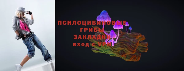 mdpv Касимов