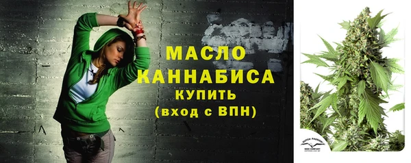 МДПВ Карпинск