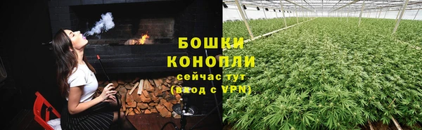 МДПВ Козловка
